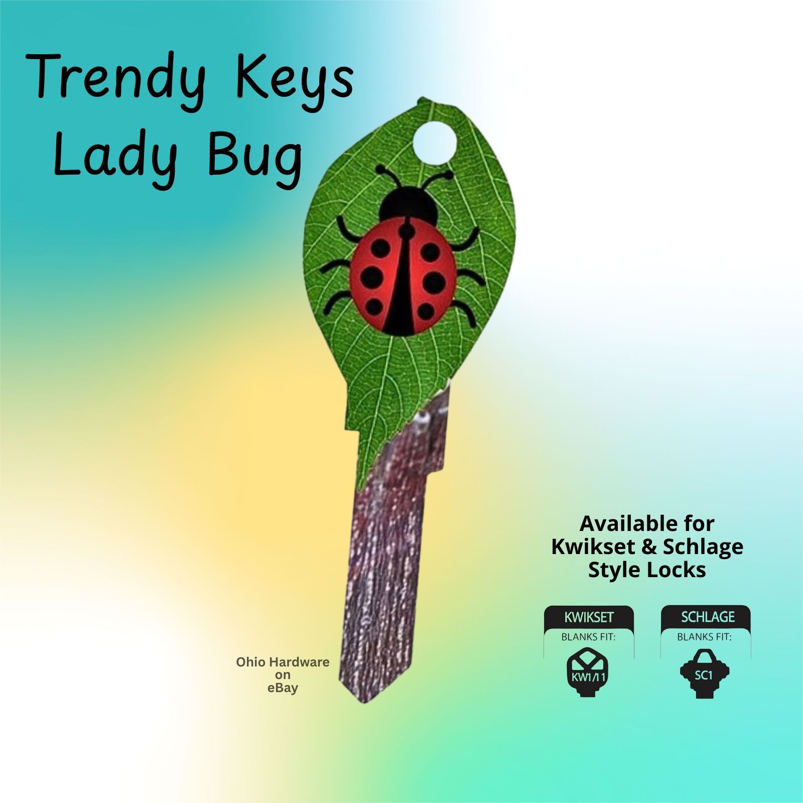 Trendy House Key Blanks – 30 Fun Designs Decorative Keys for Kwikset & Schlage
