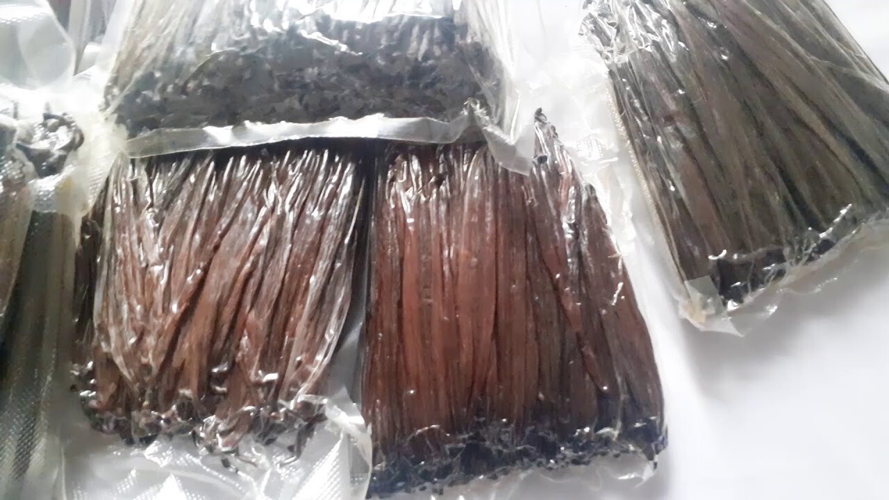 Vanilla Beans ORGANIC Grade B GREAT 4 Extract 1 LB (16OZ) LIMITED TIME OFFER!!