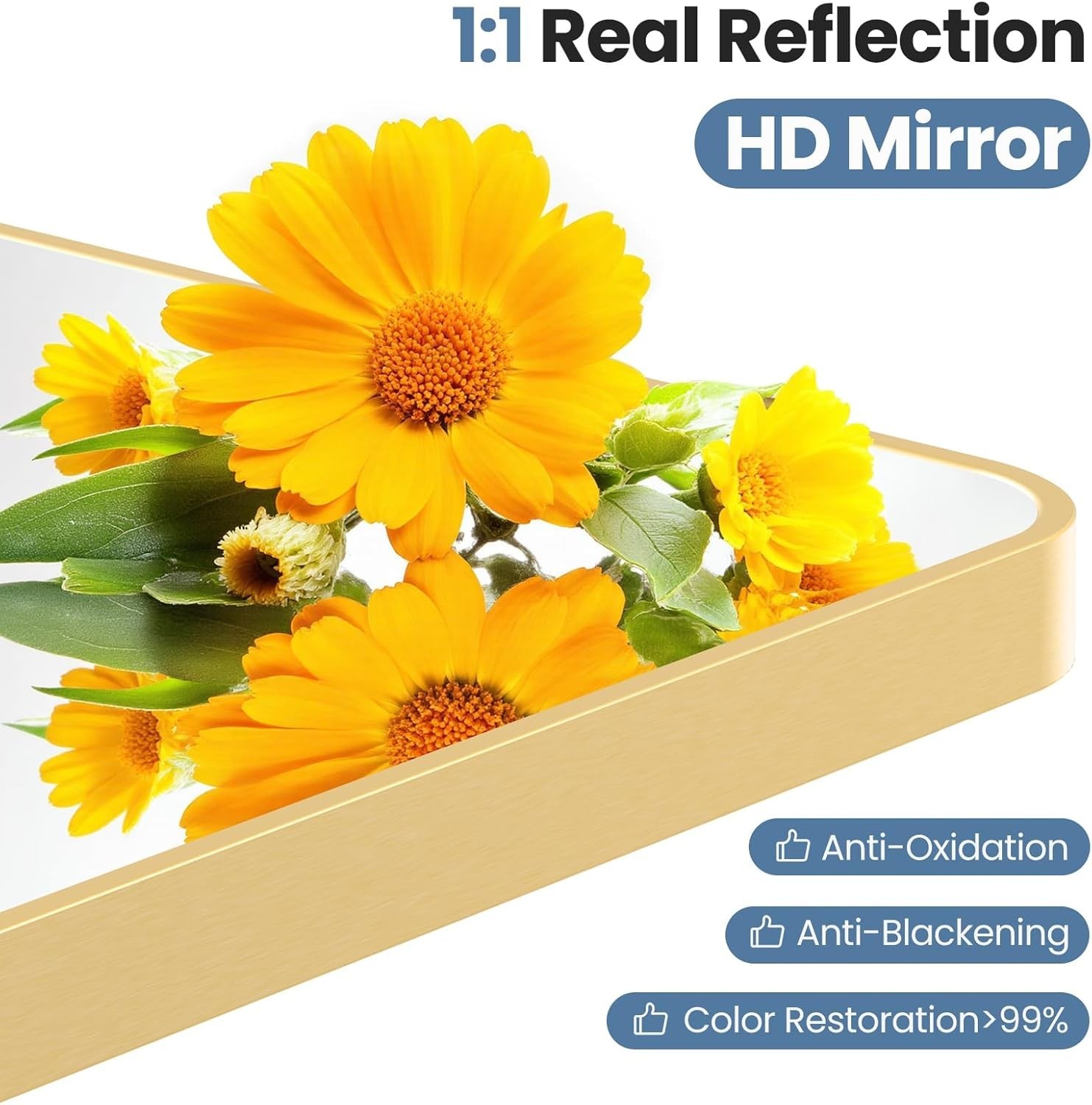 30X40 Inch Bathroom Mirror, Rectangle Wall Mirror with Rounded Corners, Gold Van