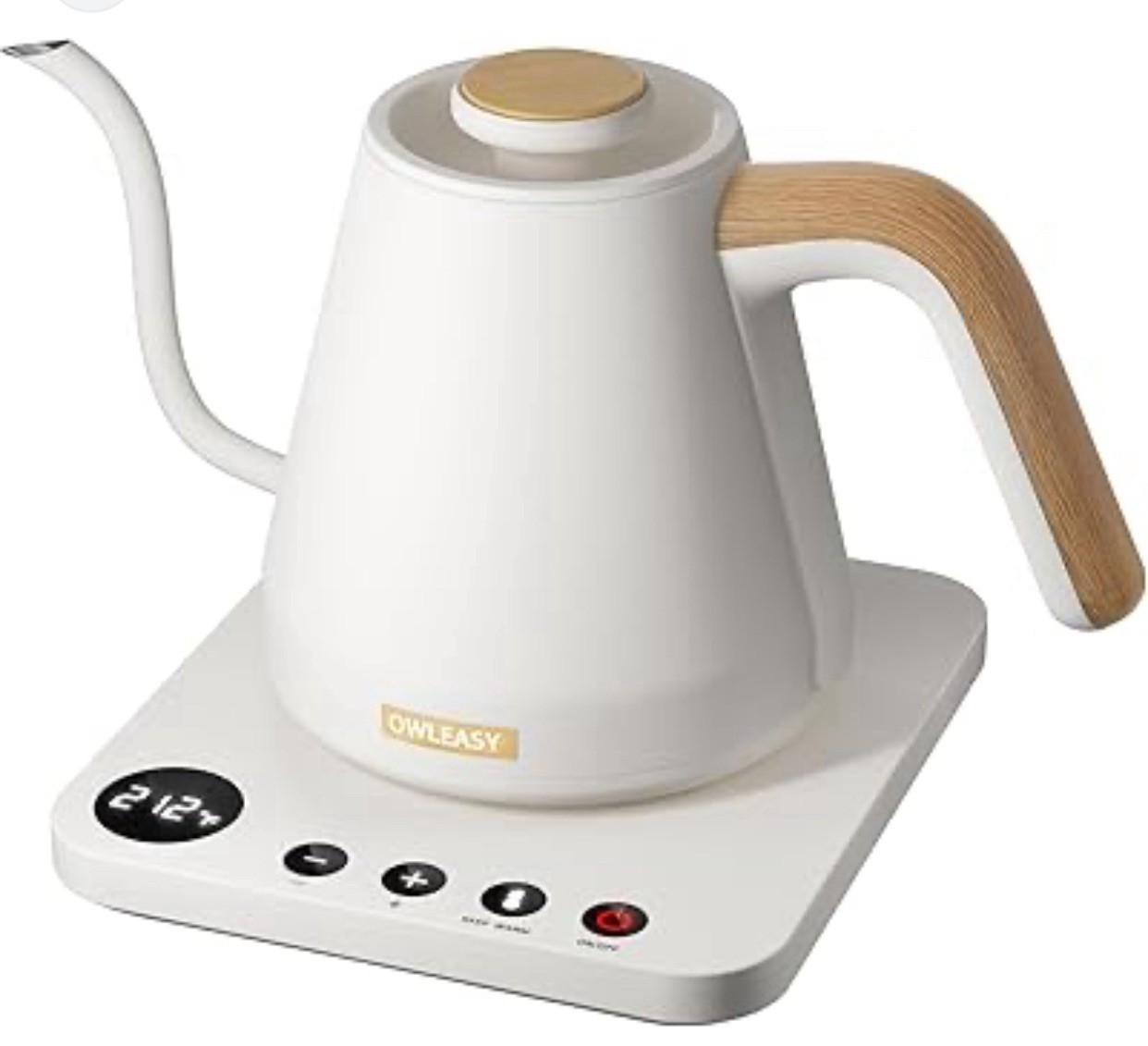 20oz./0.8L Gooseneck Electric Kettle For Tea, Coffee, Boil Water Stainless Steel