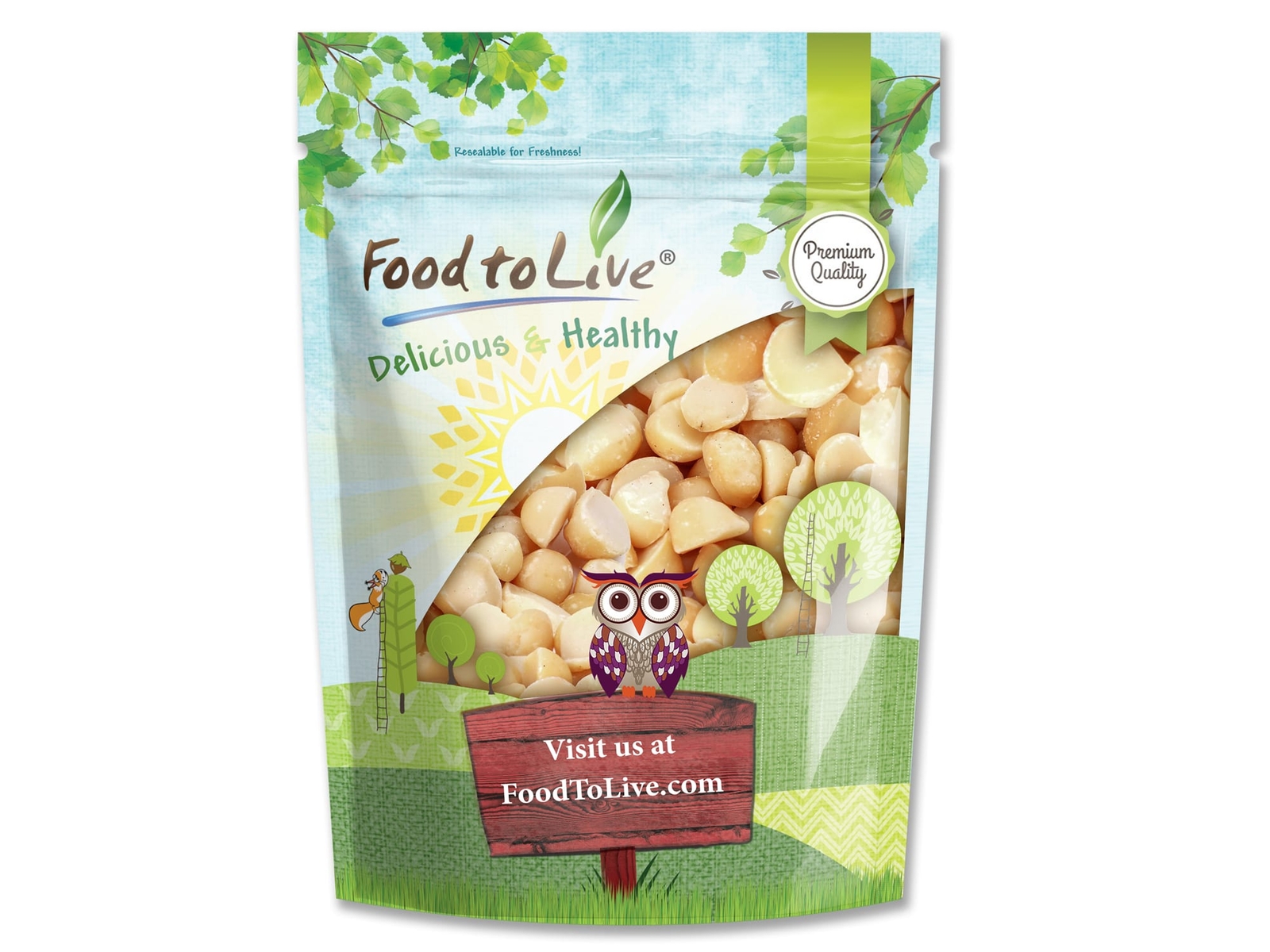 Macadamia Nut Pieces – Kosher, Raw, Vegan – by Food to Live