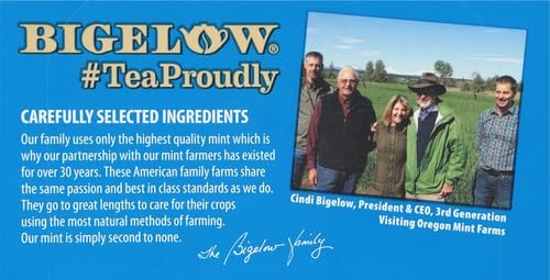 Gluten Free Tea 20 Count Box Kitchen Staple Plant Based Organic Ingredients