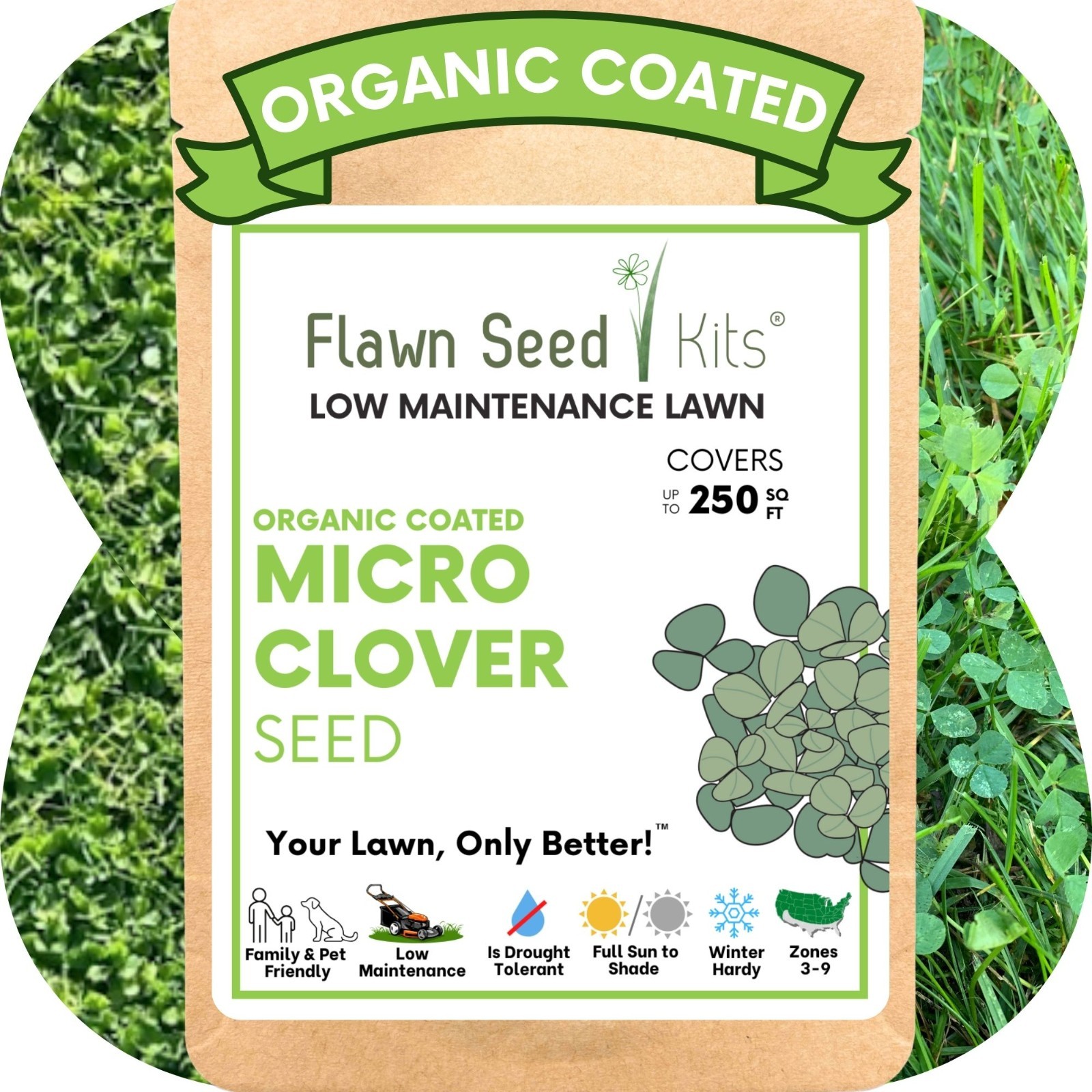 Micro Clover Seed, Organic Coated, Eco-Friendly, Low Growing, Low Maintenance