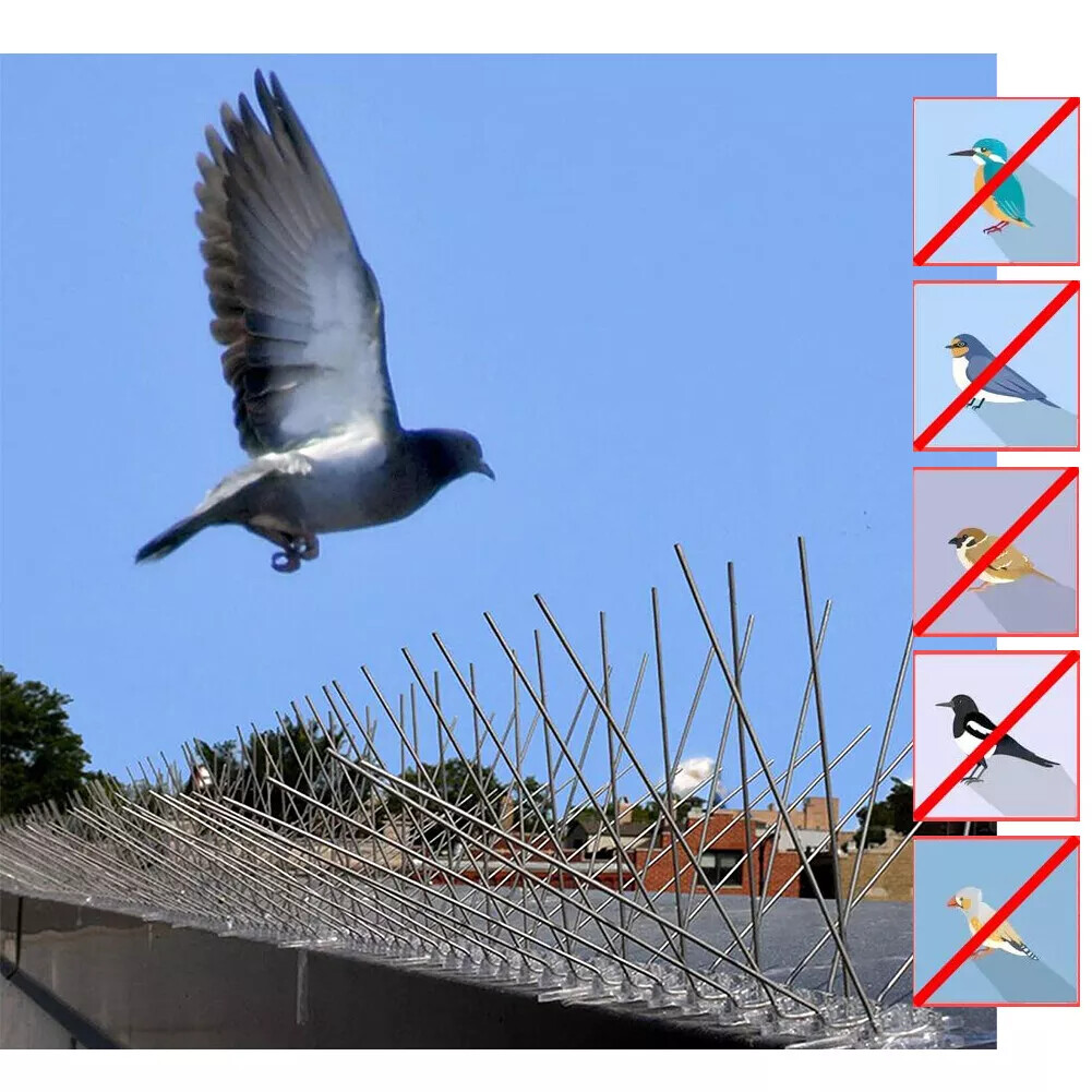 4× Bird Spikes for Small Birds Pigeons 10 Feet /12Strips anti Bird Fence Spike