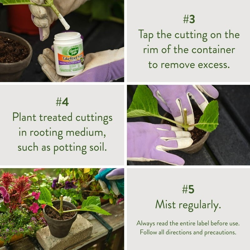 Garden Safe Take Root Rooting Hormone, 2-Ounce