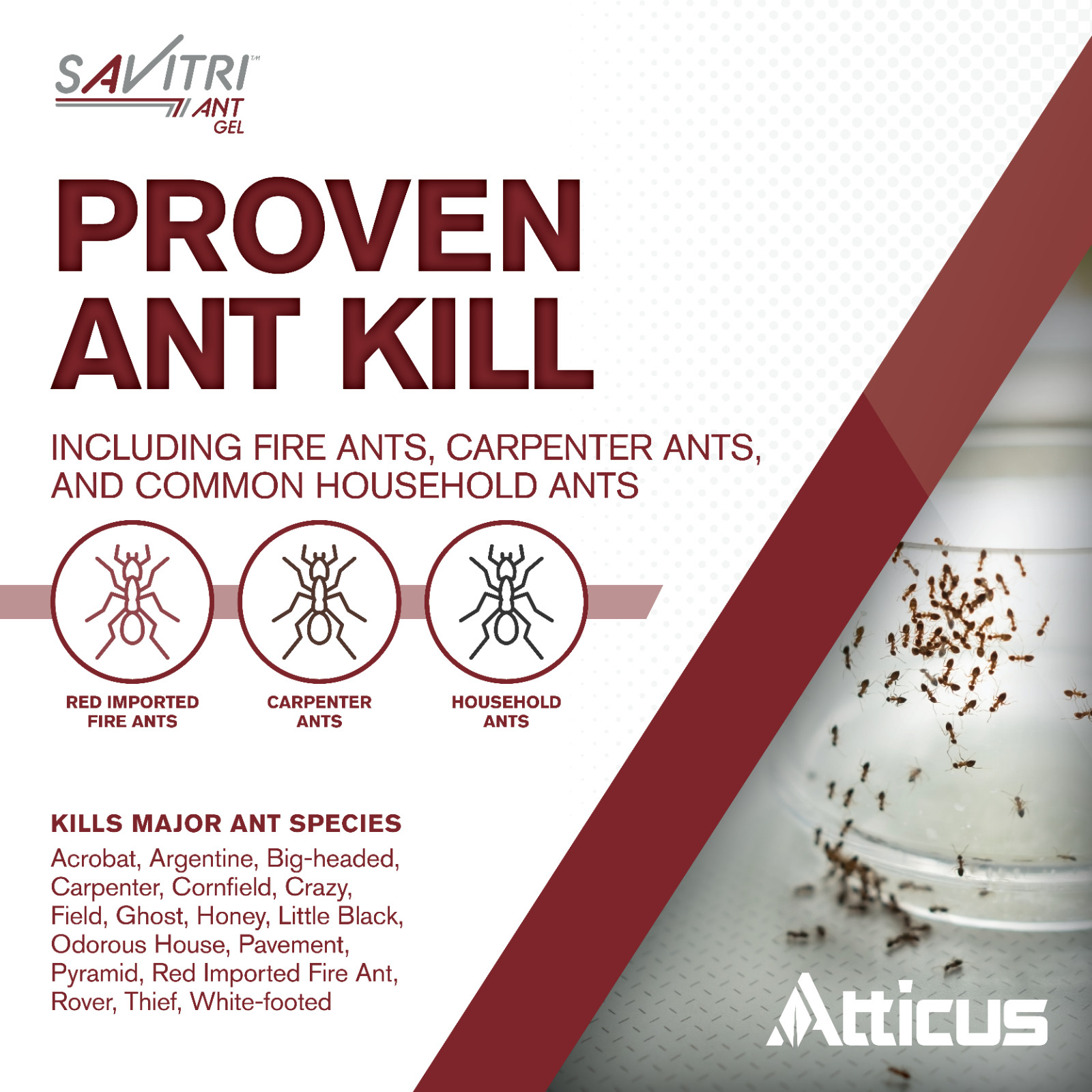 Savitri Ant Gel Bait (4 x 30 Grams) by Atticus (Compare to Advion)