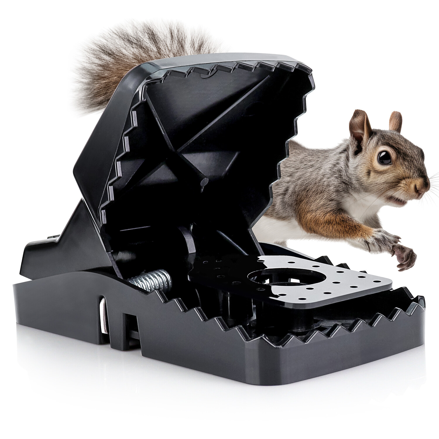 eXuby Squirrel Trap (2 pack) – Powerful Spring – 96% Instant Kill -Easy Setup