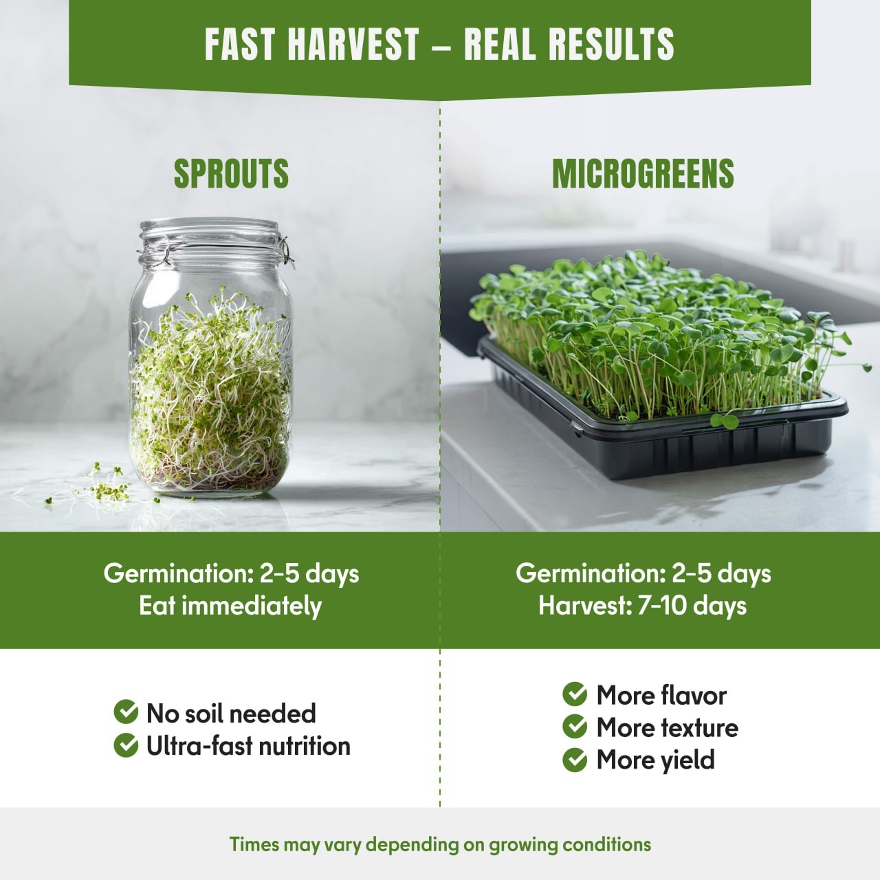 Microgreens & Sprouting Seeds Variety Pack, 10 Varieties, Non-GMO, 12550+ Seeds