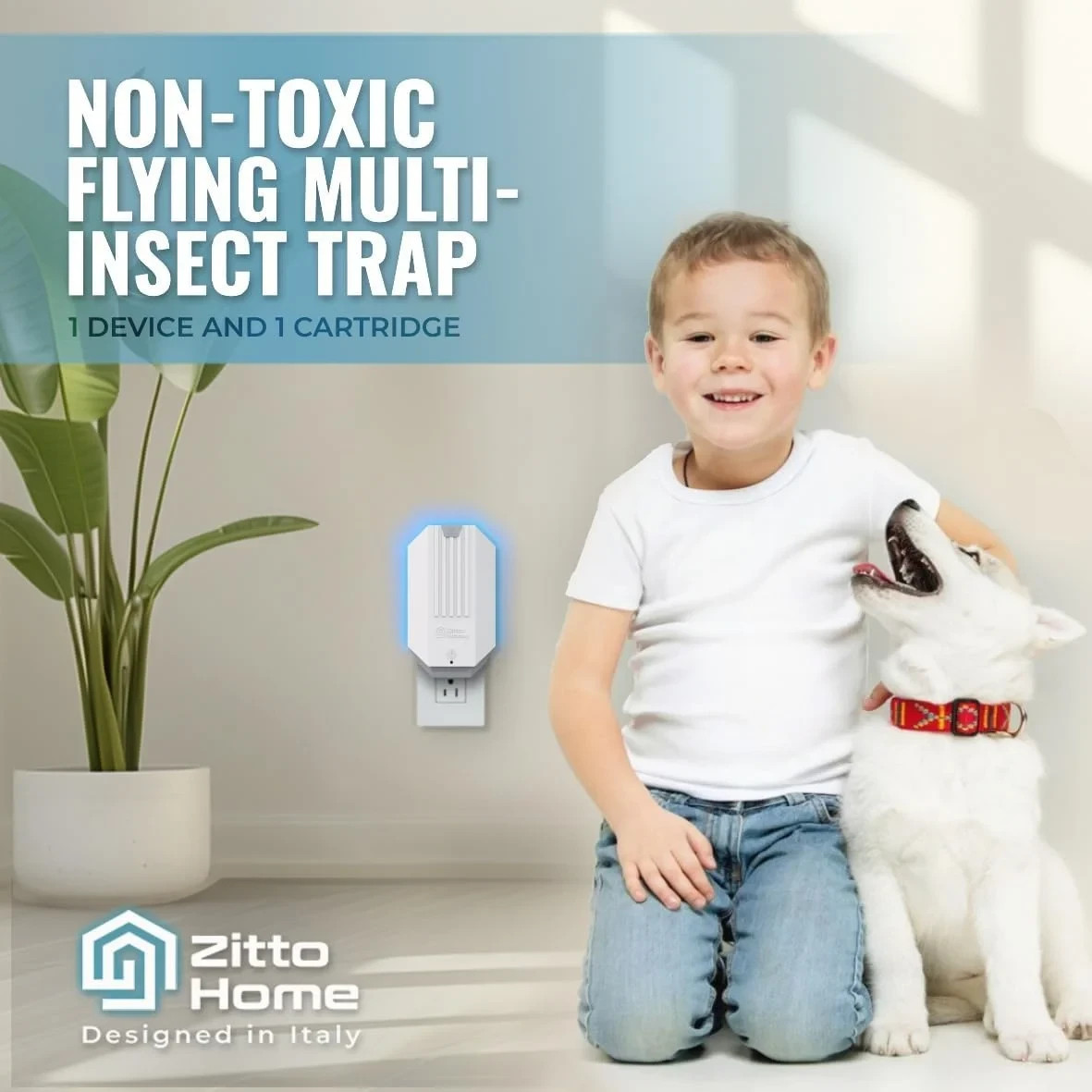 Zitto Home Flying Insect Trap with Plug-in Fly Trap Device and Refill Kit