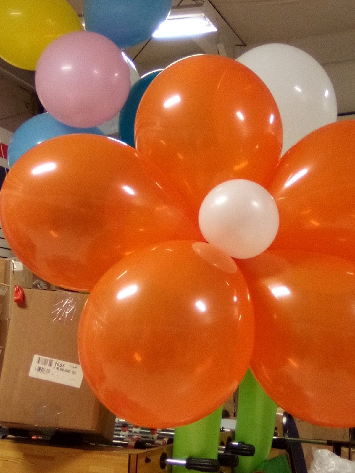 Qualatex Balloons,Top Quality 16″Mandarin Orange Balloons 50 InBag