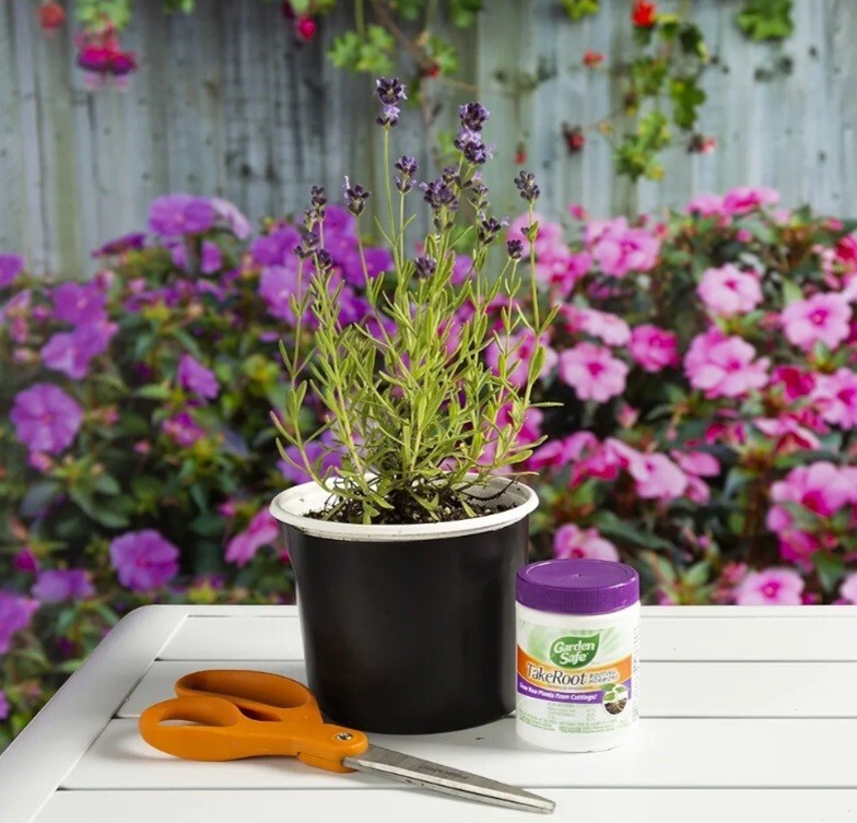 2 Pack Garden Safe Takeroot Rooting Hormone, New Plants Growth Powder-2Oz