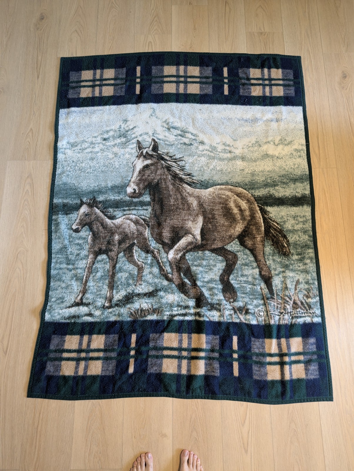 Vintage Biederlack Horse Blanket Made in USA Fleece Throw 77×57 Green Mountain