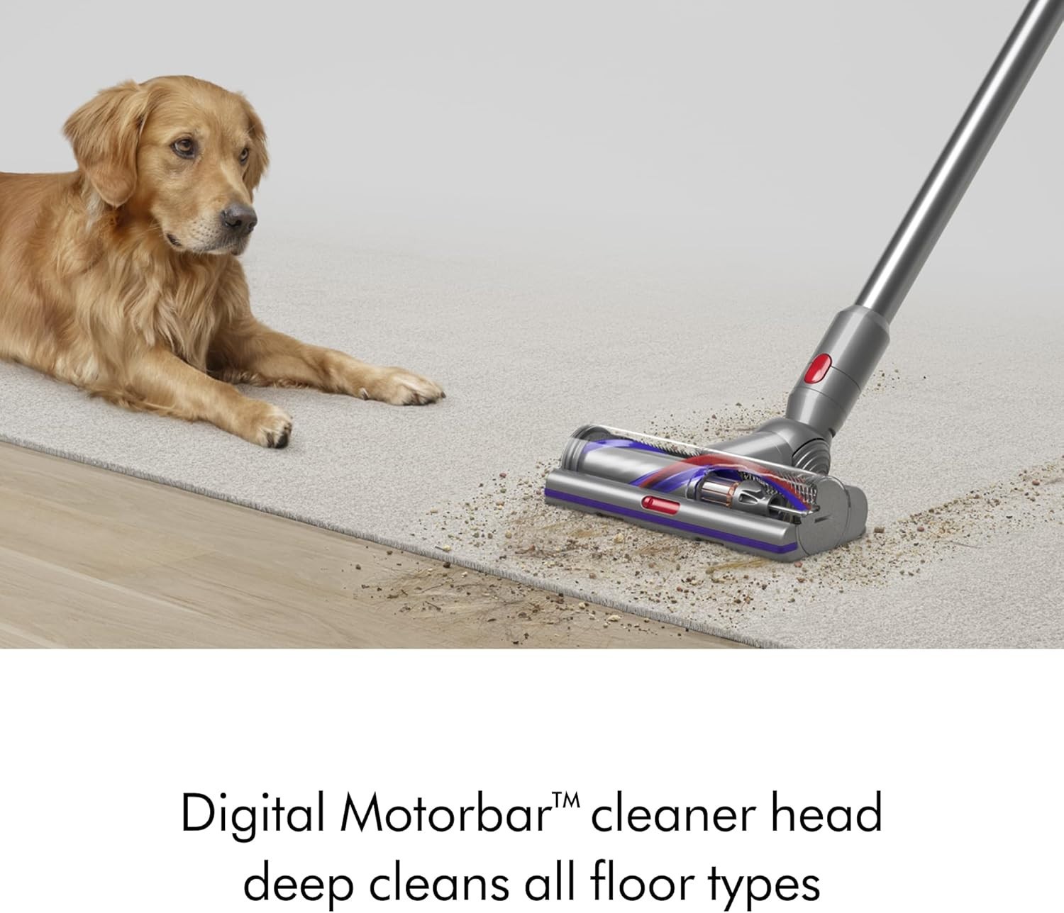 Dyson V15 Detect Extra Renewed Vacuum – Detect, LCD, 60min