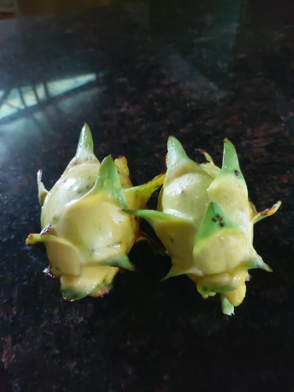 DRAGON FRUIT CUTTINGS – MULTIPLE VARIETIES – 8″ – 12: SIZE