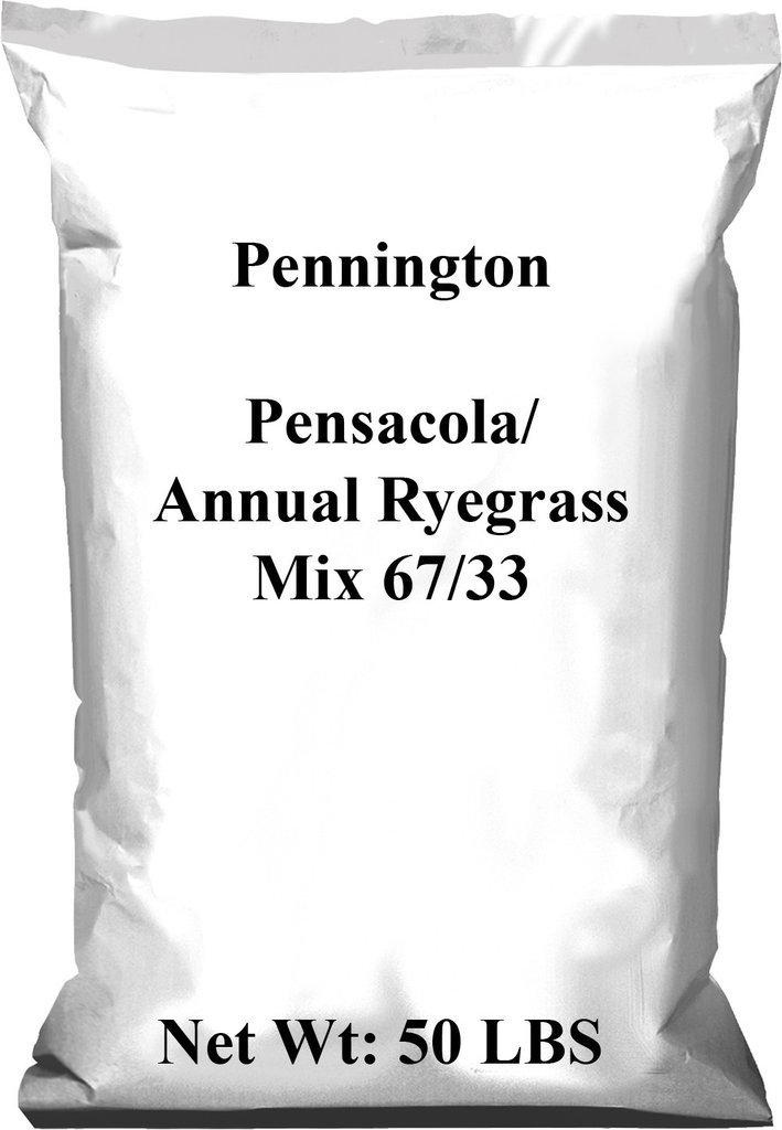 Pensacola Bahia / Annual Ryegrass Mix – 50 Lbs.