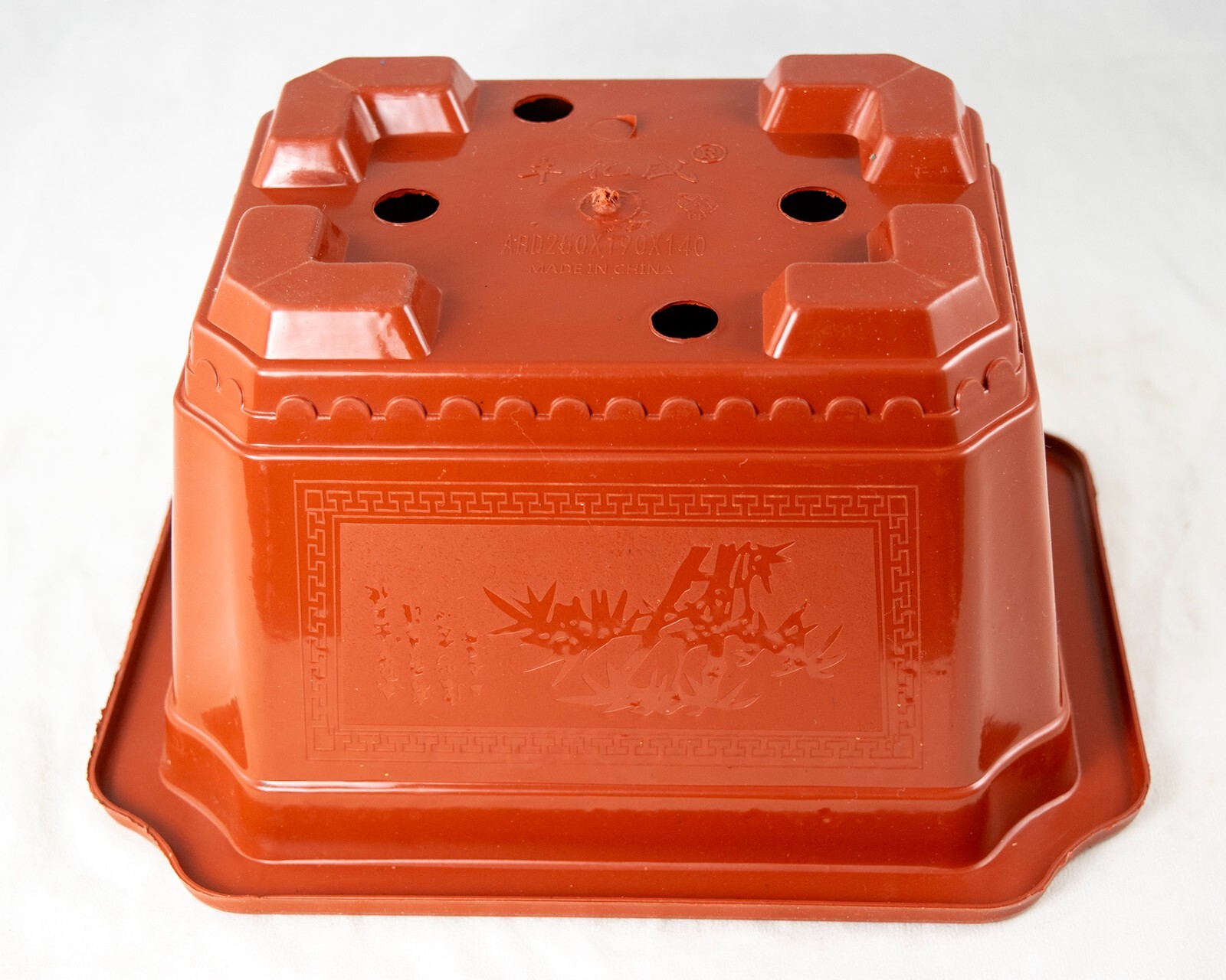 Rectangular Plastic Cactus & Succulent, Bonsai Training Tall Pot 7.25″ to 17.5″