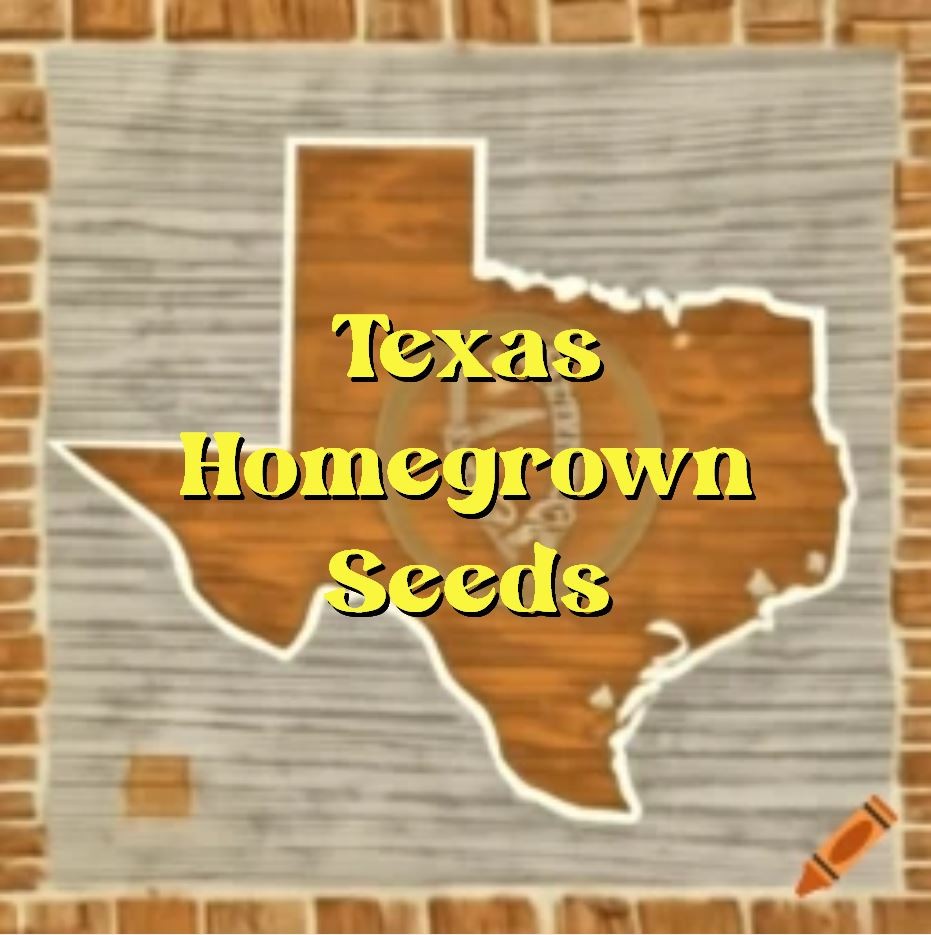 35 Heirloom Tendersweet Orange Watermelon Seeds – HUGE 30-35LB Super Sweet Melon