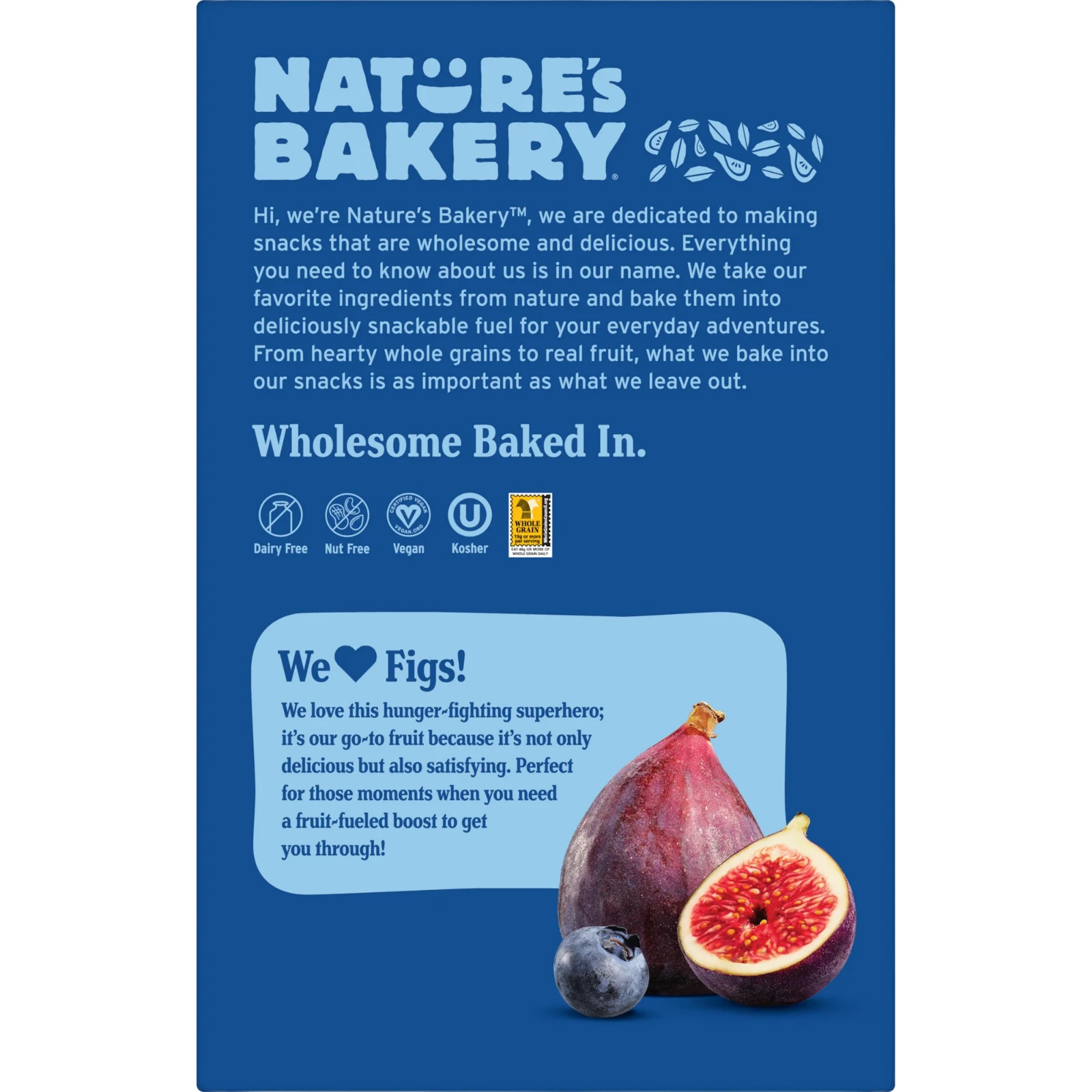 Nature’s Bakery, Blueberry Fig Bars, 10 Twin Packs, 2 oz Each