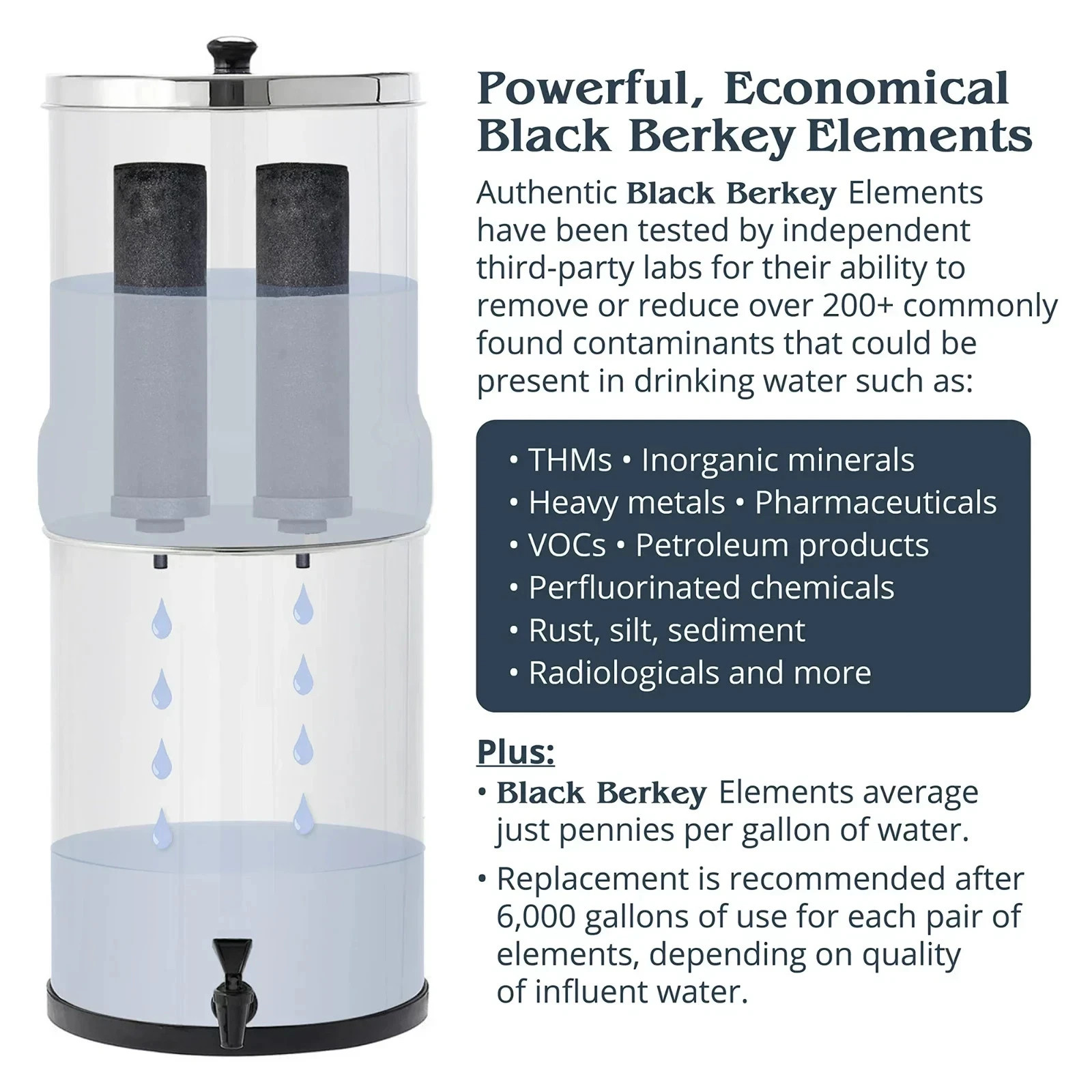 BB9-2 Black Berkey Water Filter Replacement Elements (2-Pack)