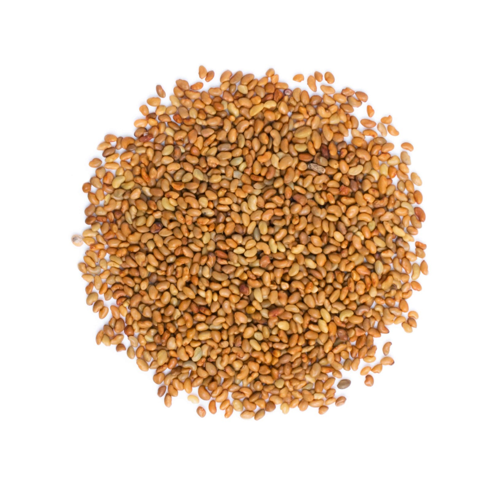 Organic Alfalfa Seeds for Sprouting – Non-GMO, Sproutable – by Food To Live