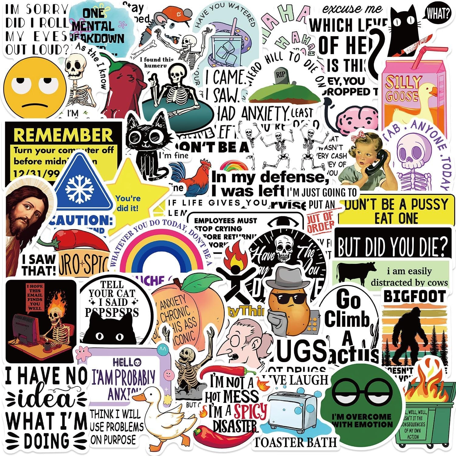 Funny Adults Stickers Bulk, 50pcs Prank Meme Sticker for Kids Teens Adults, Snar