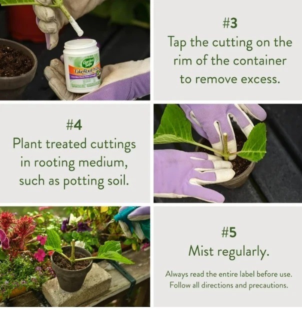 Garden Safe Take Root Rooting Hormone, 2-Ounce