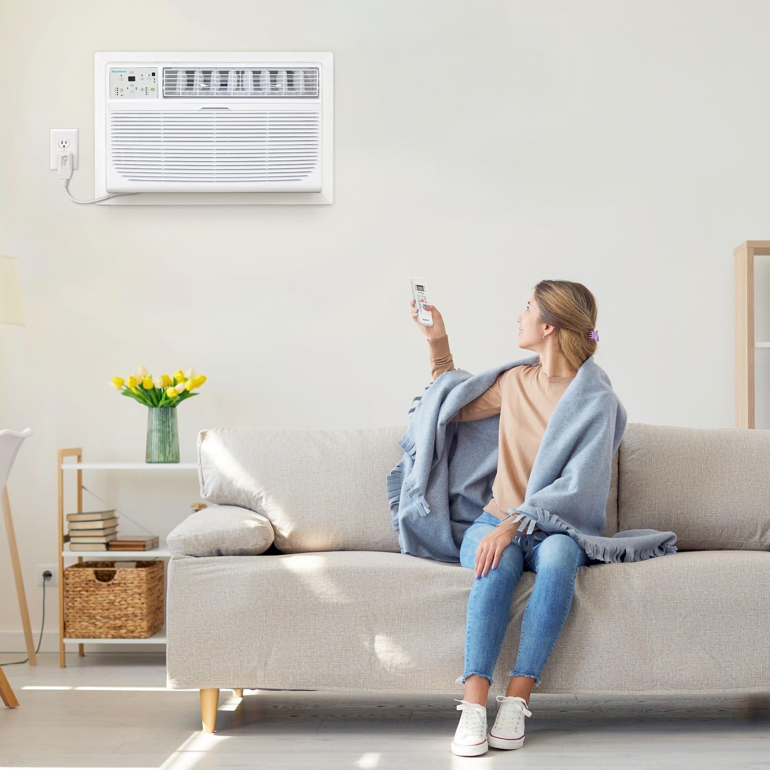 Keystone 8,000 BTU Wall Mounted Air Conditioner w/Supplemental Heat Dehumidifier