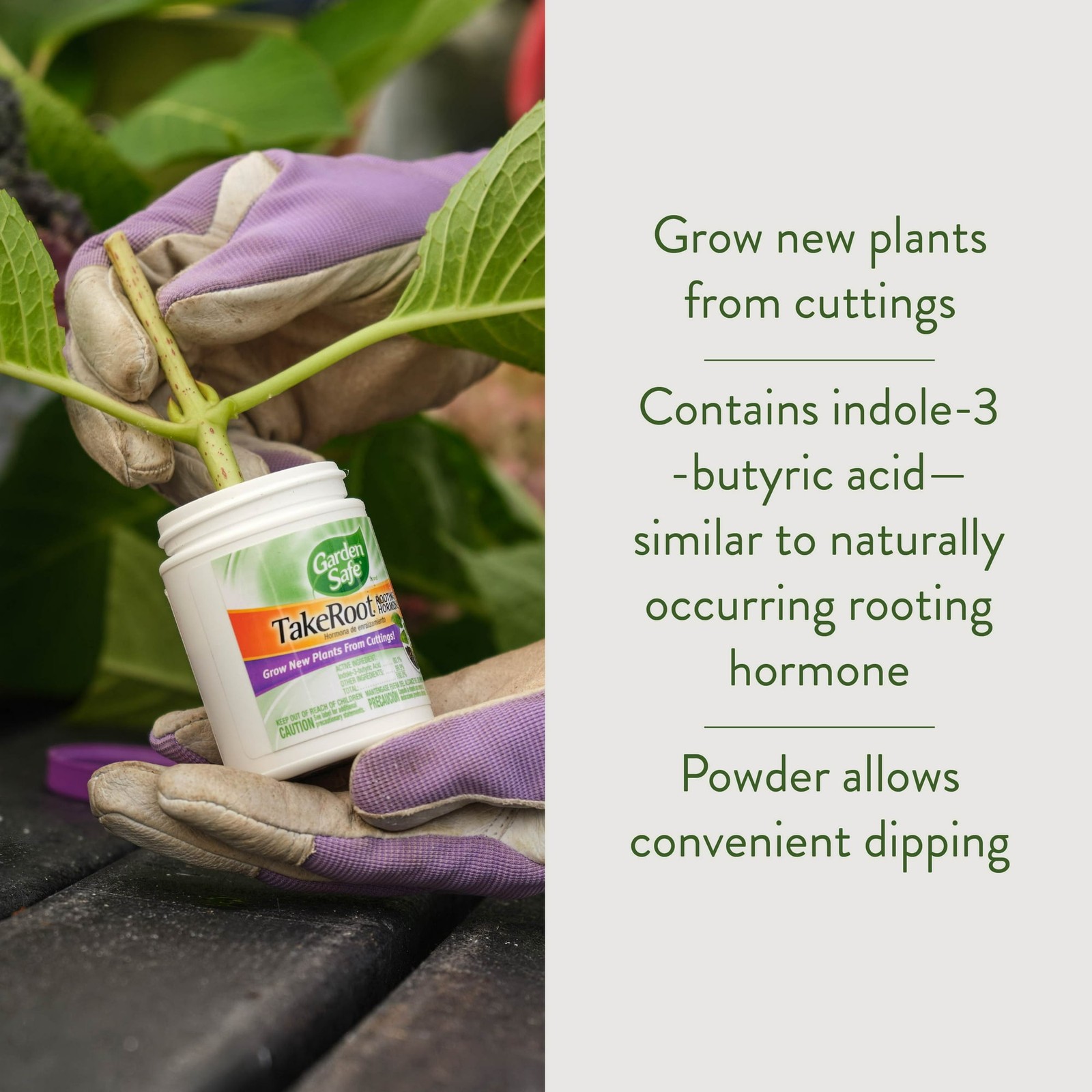 Garden Safe Take Root Rooting Hormone, 2-Ounce
