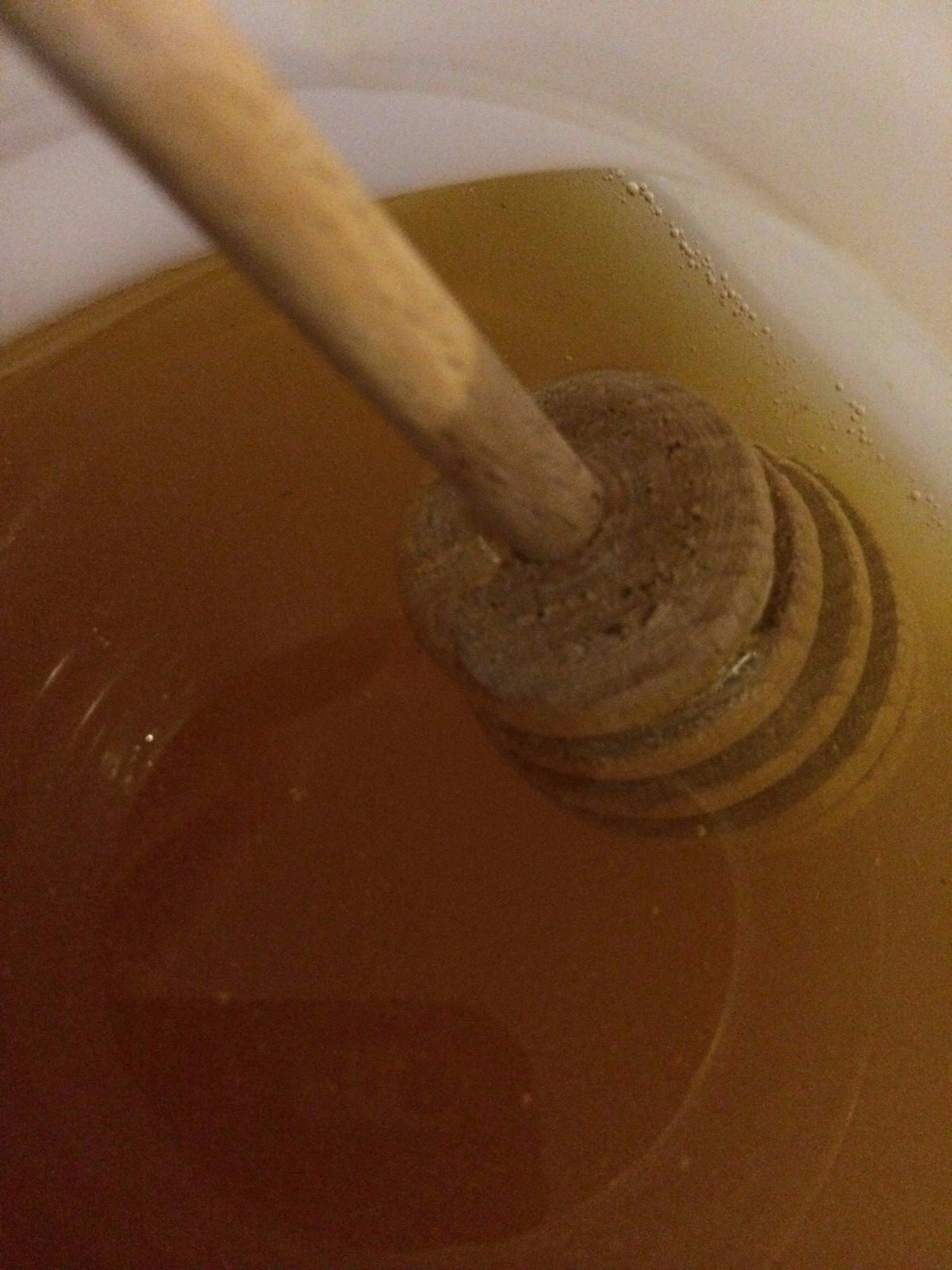 1 Gallon RAW Orange Blossom Honey Pure Natural, non-filtered, Fresh