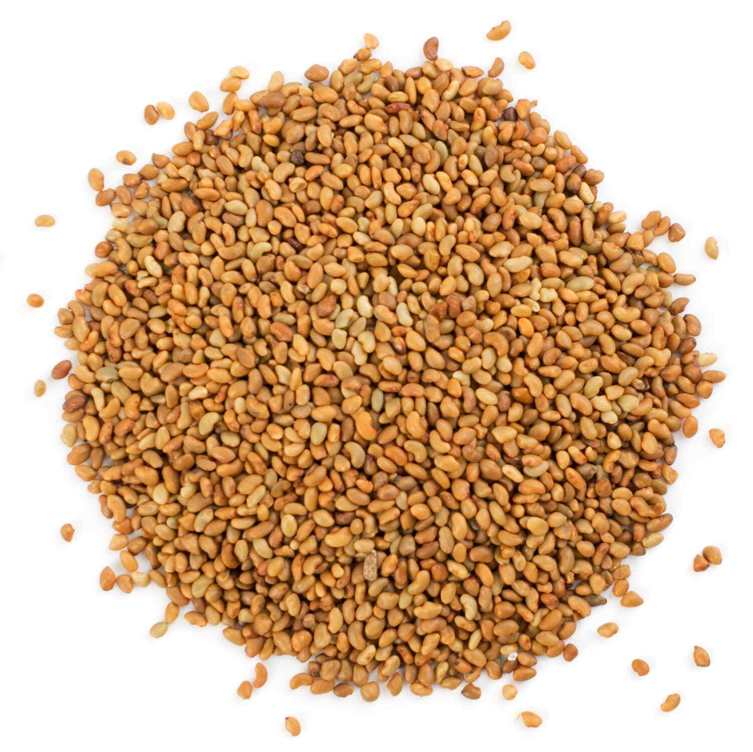 Organic Alfalfa Seeds for Sprouting – Non-GMO, Sproutable – by Food To Live